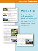 Monthly Blogs